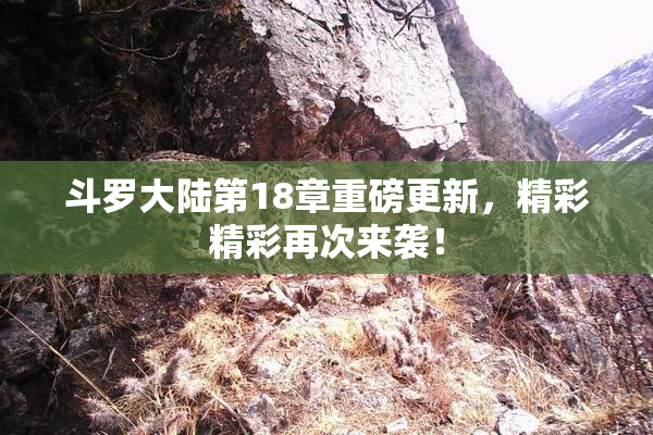 斗罗大陆第18章重磅更新，精彩精彩再次来袭！