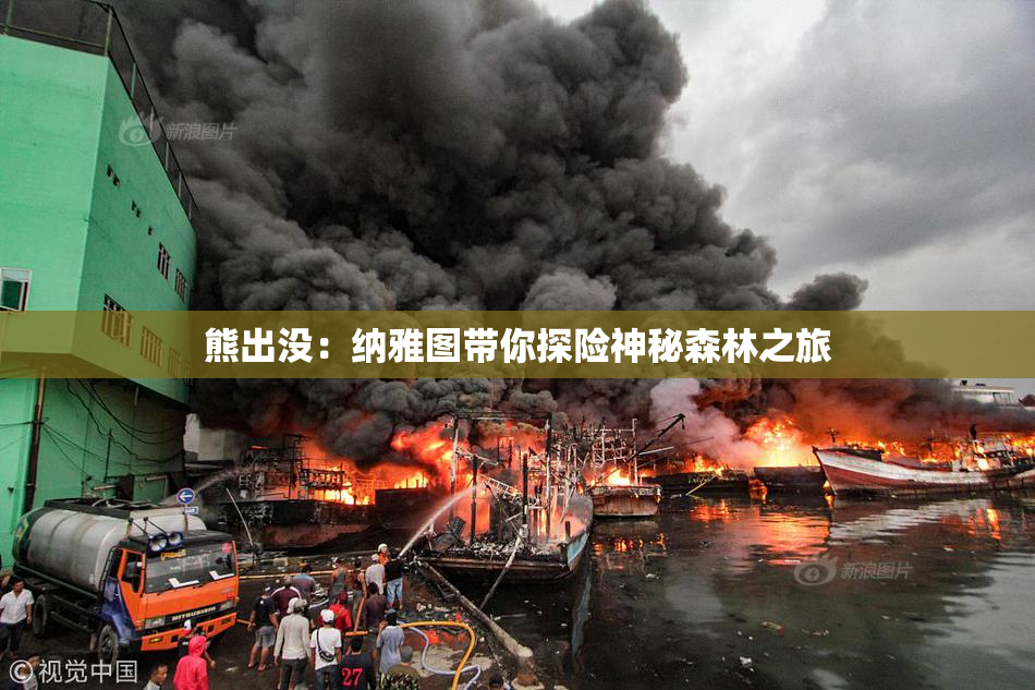 熊出没：纳雅图带你探险神秘森林之旅