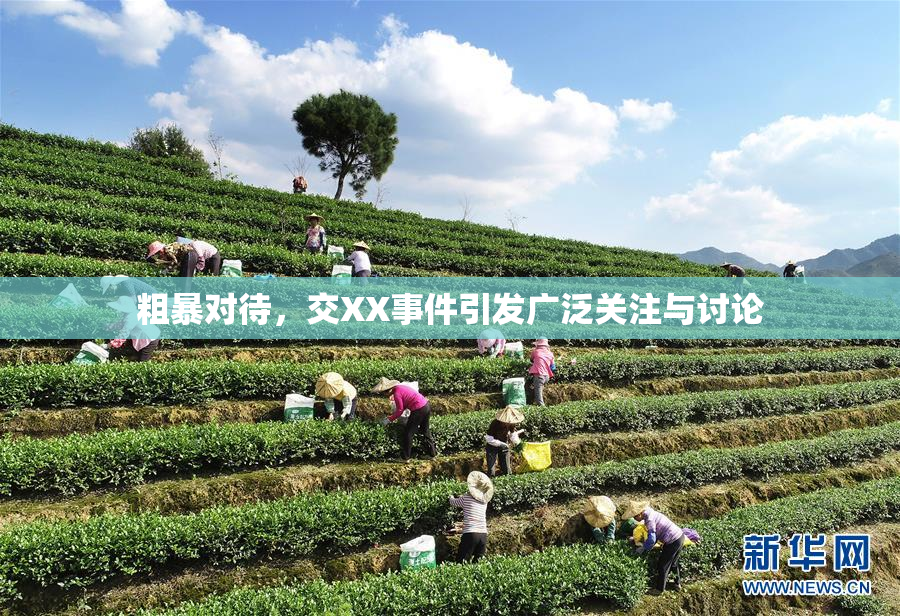 粗暴对待，交XX事件引发广泛关注与讨论