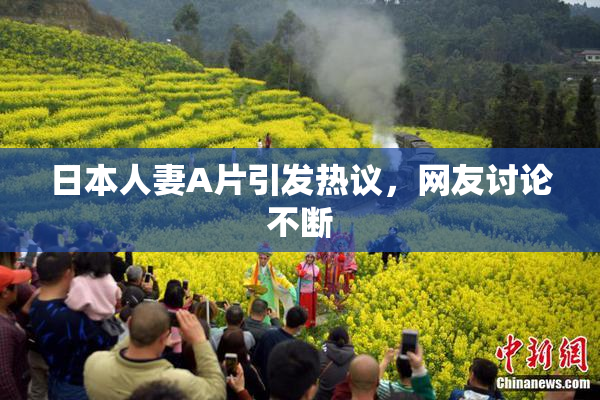 日本人妻A片引发热议，网友讨论不断