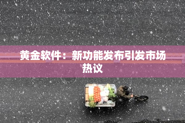 黄金软件：新功能发布引发市场热议