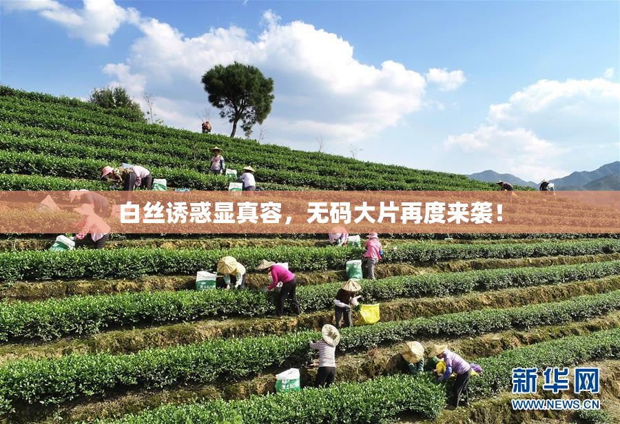 白丝诱惑显真容，无码大片再度来袭！