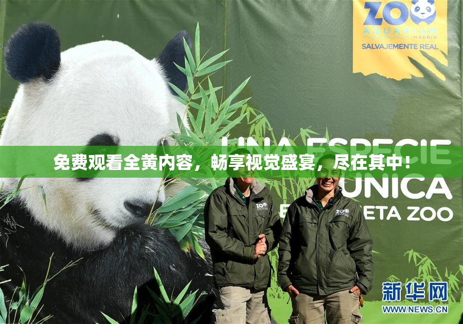 免费观看全黄内容，畅享视觉盛宴，尽在其中！