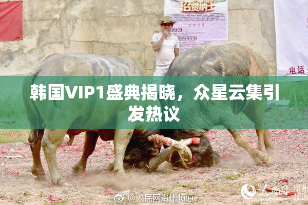 韩国VIP1盛典揭晓，众星云集引发热议