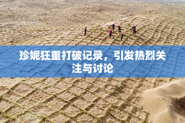 珍妮狂重打破记录，引发热烈关注与讨论