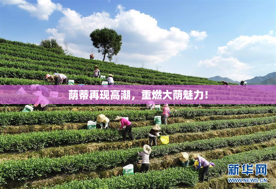 荫蒂再现高潮，重燃大荫魅力！