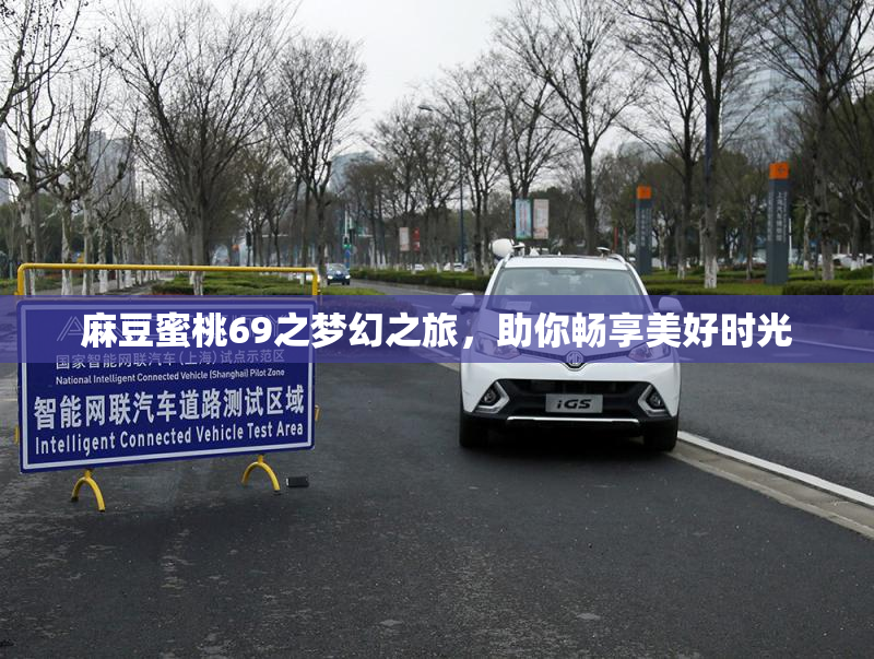 麻豆蜜桃69之梦幻之旅，助你畅享美好时光