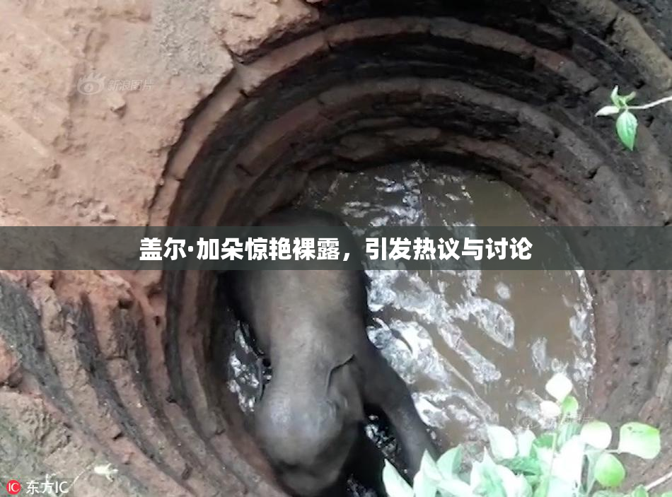 盖尔·加朵惊艳裸露，引发热议与讨论