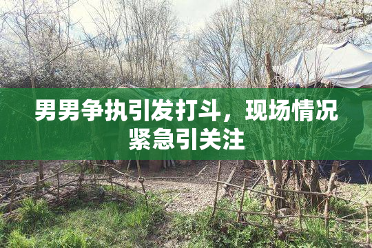 男男争执引发打斗，现场情况紧急引关注