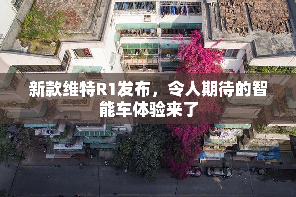 新款维特R1发布，令人期待的智能车体验来了