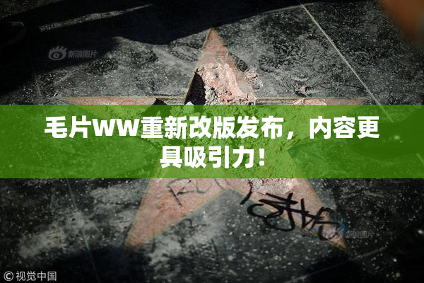 毛片WW重新改版发布，内容更具吸引力！