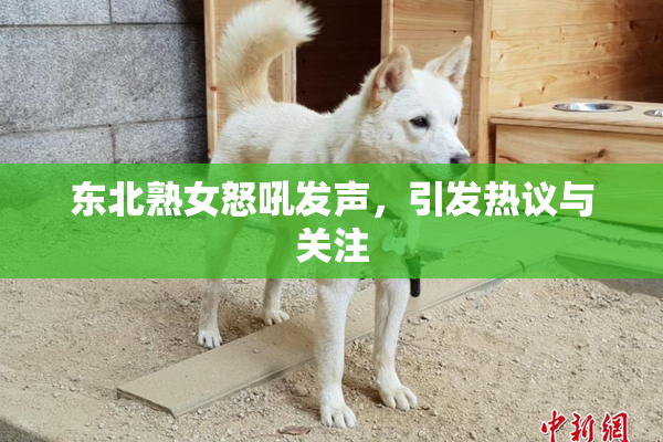 东北熟女怒吼发声，引发热议与关注