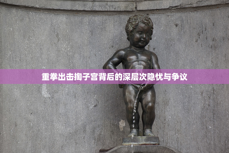 重拳出击掏子宫背后的深层次隐忧与争议