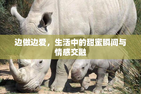 边做边爱，生活中的甜蜜瞬间与情感交融