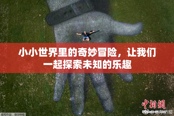 小小世界里的奇妙冒险，让我们一起探索未知的乐趣
