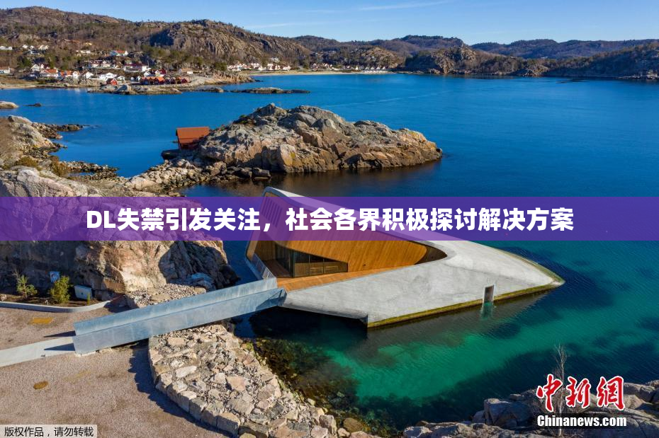DL失禁引发关注，社会各界积极探讨解决方案