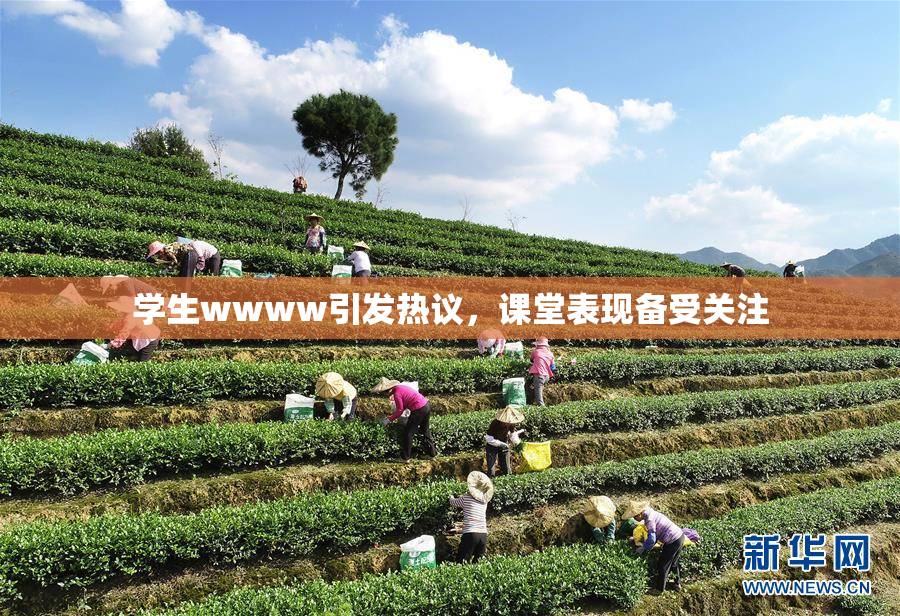 学生wwww引发热议，课堂表现备受关注
