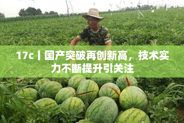 17c丨国产突破再创新高，技术实力不断提升引关注