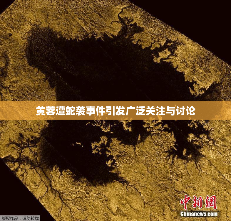 黄蓉遭蛇袭事件引发广泛关注与讨论