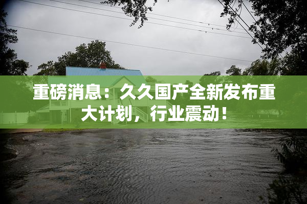 重磅消息：久久国产全新发布重大计划，行业震动！