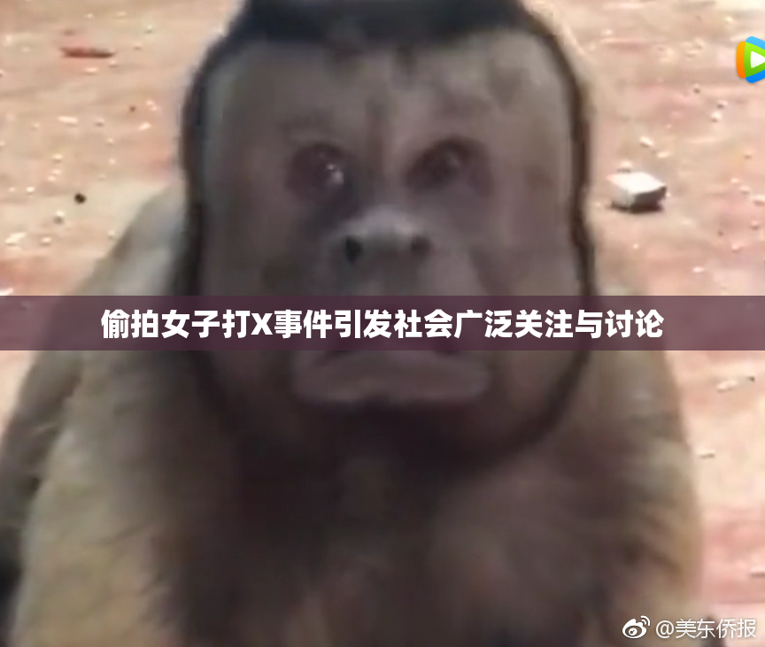 偷拍女子打X事件引发社会广泛关注与讨论