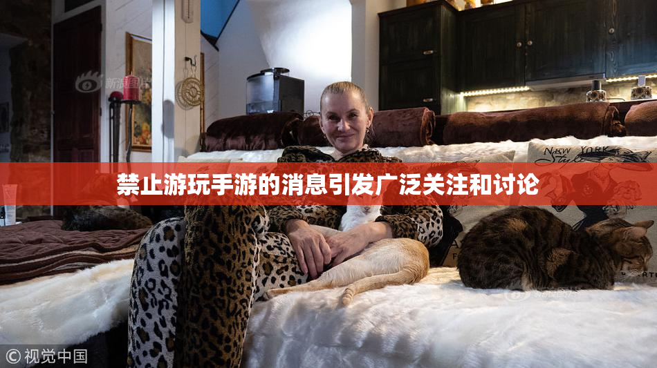 禁止游玩手游的消息引发广泛关注和讨论