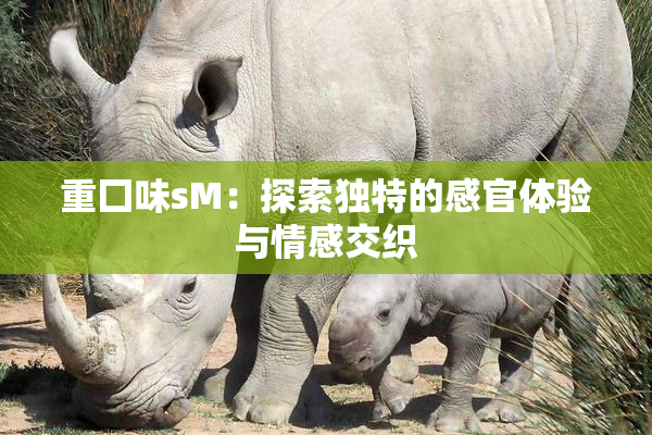 重囗味sM：探索独特的感官体验与情感交织