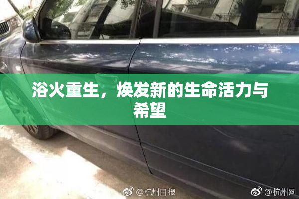 浴火重生，焕发新的生命活力与希望
