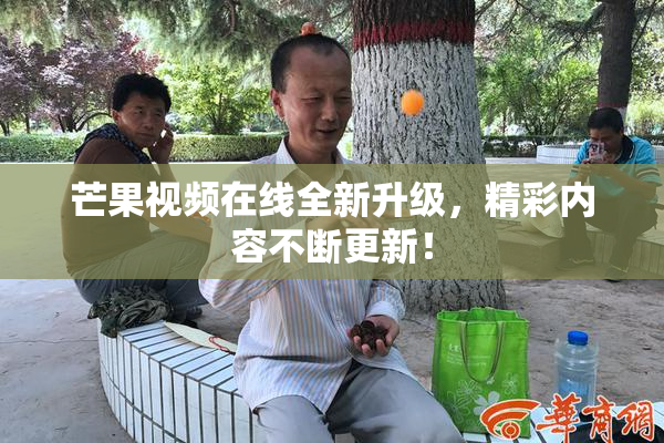 芒果视频在线全新升级，精彩内容不断更新！