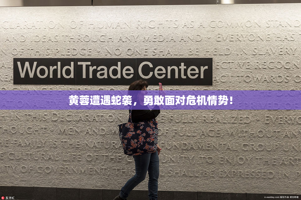 黄蓉遭遇蛇袭，勇敢面对危机情势！