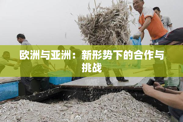 欧洲与亚洲：新形势下的合作与挑战
