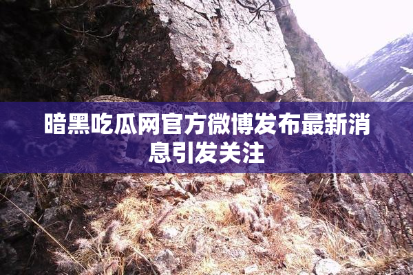 暗黑吃瓜网官方微博发布最新消息引发关注