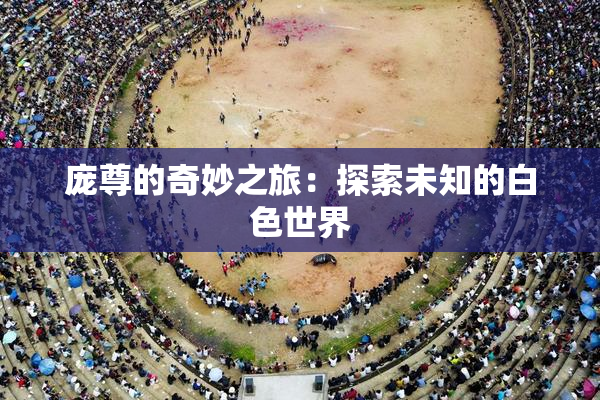 庞尊的奇妙之旅：探索未知的白色世界