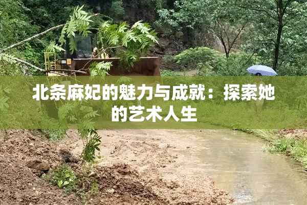 北条麻妃的魅力与成就：探索她的艺术人生