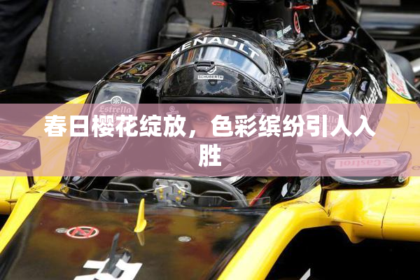 春日樱花绽放，色彩缤纷引人入胜