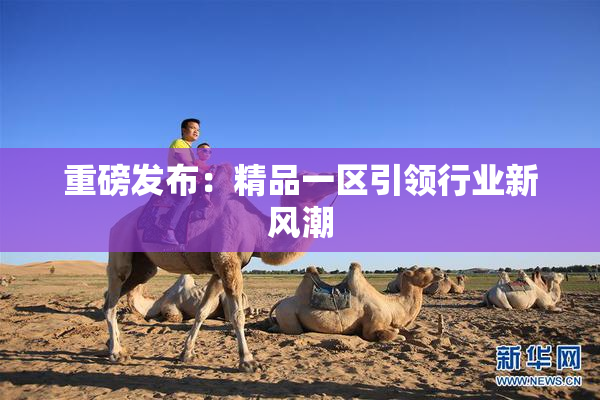 重磅发布：精品一区引领行业新风潮