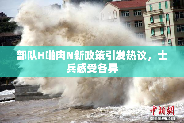 部队H啪肉N新政策引发热议，士兵感受各异