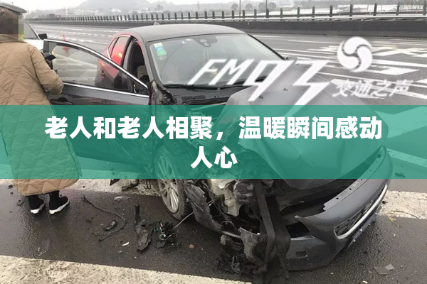 老人和老人相聚，温暖瞬间感动人心