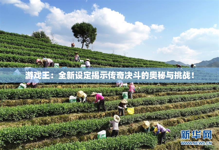 游戏王：全新设定揭示传奇决斗的奥秘与挑战！