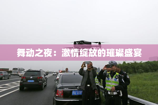 舞动之夜：激情绽放的璀璨盛宴