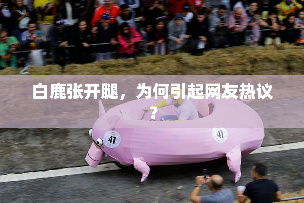白鹿张开腿，为何引起网友热议？