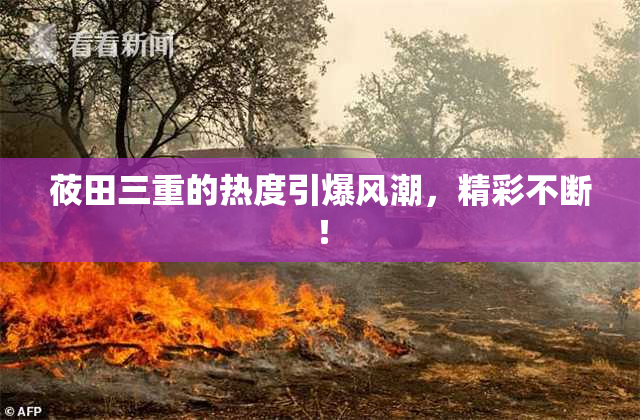 莜田三重的热度引爆风潮，精彩不断！