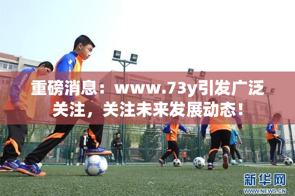重磅消息：www.73y引发广泛关注，关注未来发展动态！