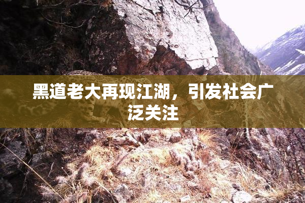 黑道老大再现江湖，引发社会广泛关注