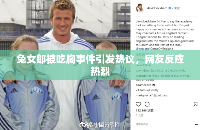 兔女郎被吃胸事件引发热议，网友反应热烈