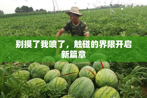 别摸了我喷了，触碰的界限开启新篇章