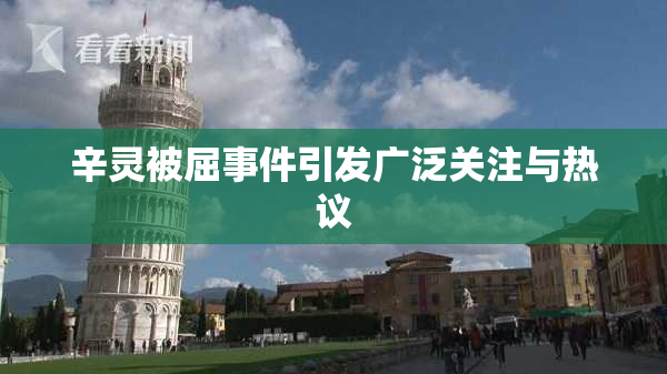 辛灵被屈事件引发广泛关注与热议
