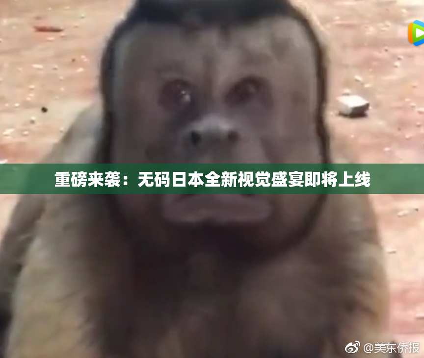 重磅来袭：无码日本全新视觉盛宴即将上线