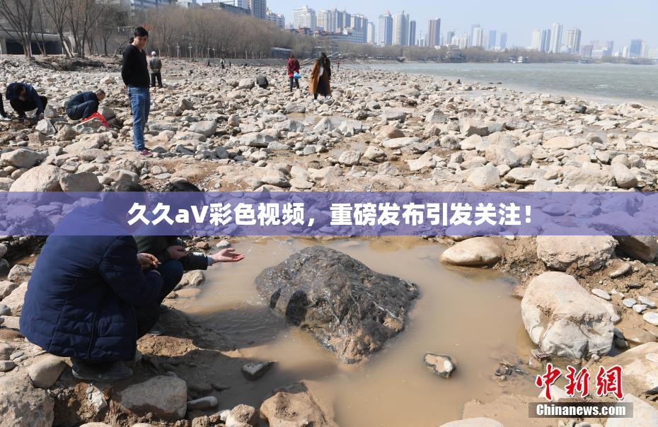 久久aV彩色视频，重磅发布引发关注！