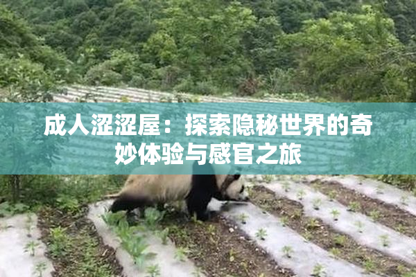 成人涩涩屋：探索隐秘世界的奇妙体验与感官之旅